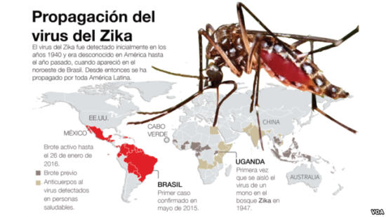 zika-infografía