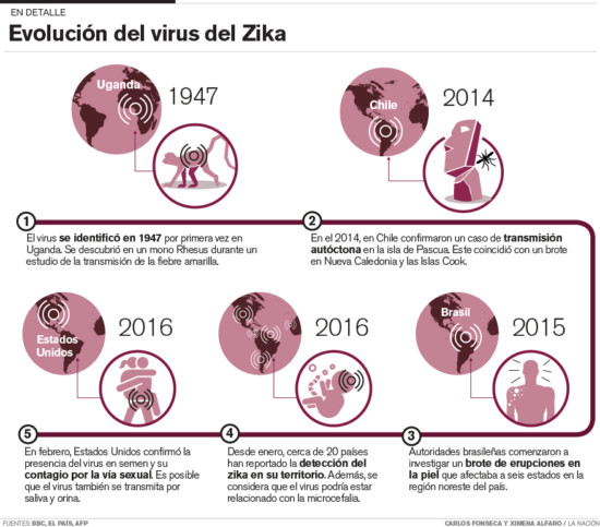 zika-virus-Aedes_aegyipti_LNCIMA20160205_0191_1