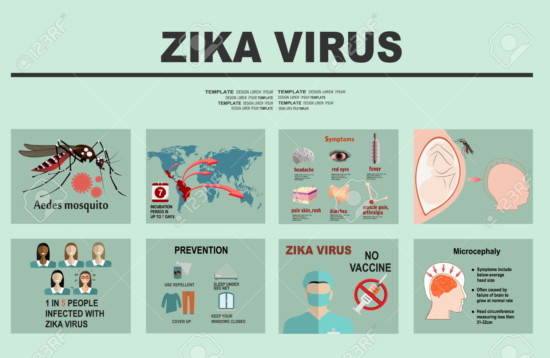 zika52781035-virus-Zika-elementos-infogr-ficos-medidas-de-prevenci-n-transmisi-n-vacunas-s-ntomas-microcefalia-de-Foto-de-archivo