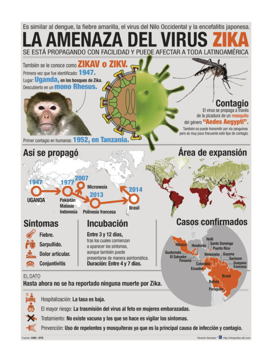 GRA249. MADRID, 28/01/2016.- "La amenaza del virus Zika". Detalle de la infografía de la Agencia EFE disponible en http://infografias.efe.com EFE