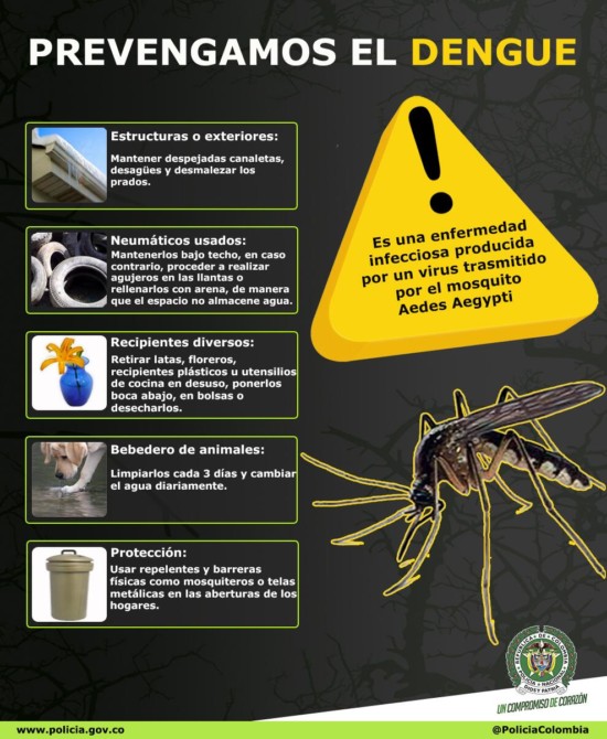 infografia_dengue-2