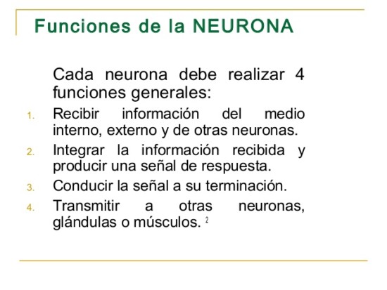 sistema-nervioso-3-638