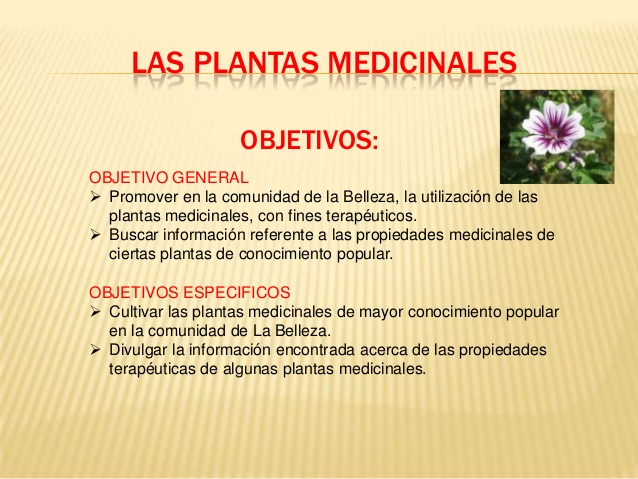 las-plantas-medicinales-1-638