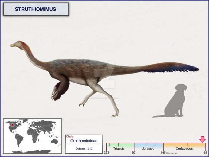 Dinosaurios Omnivoros » Nombres, Características, Tipos e Imágenes |  